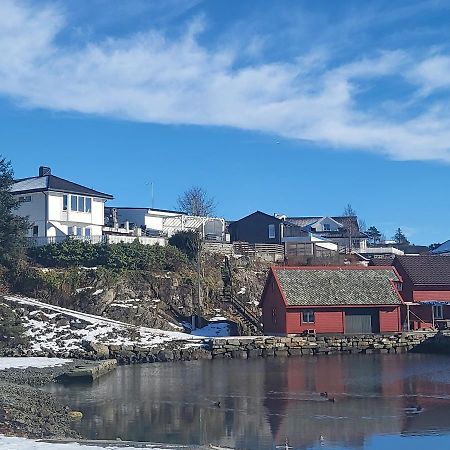 Cute Apartment By The Ocean Foldnes エクステリア 写真