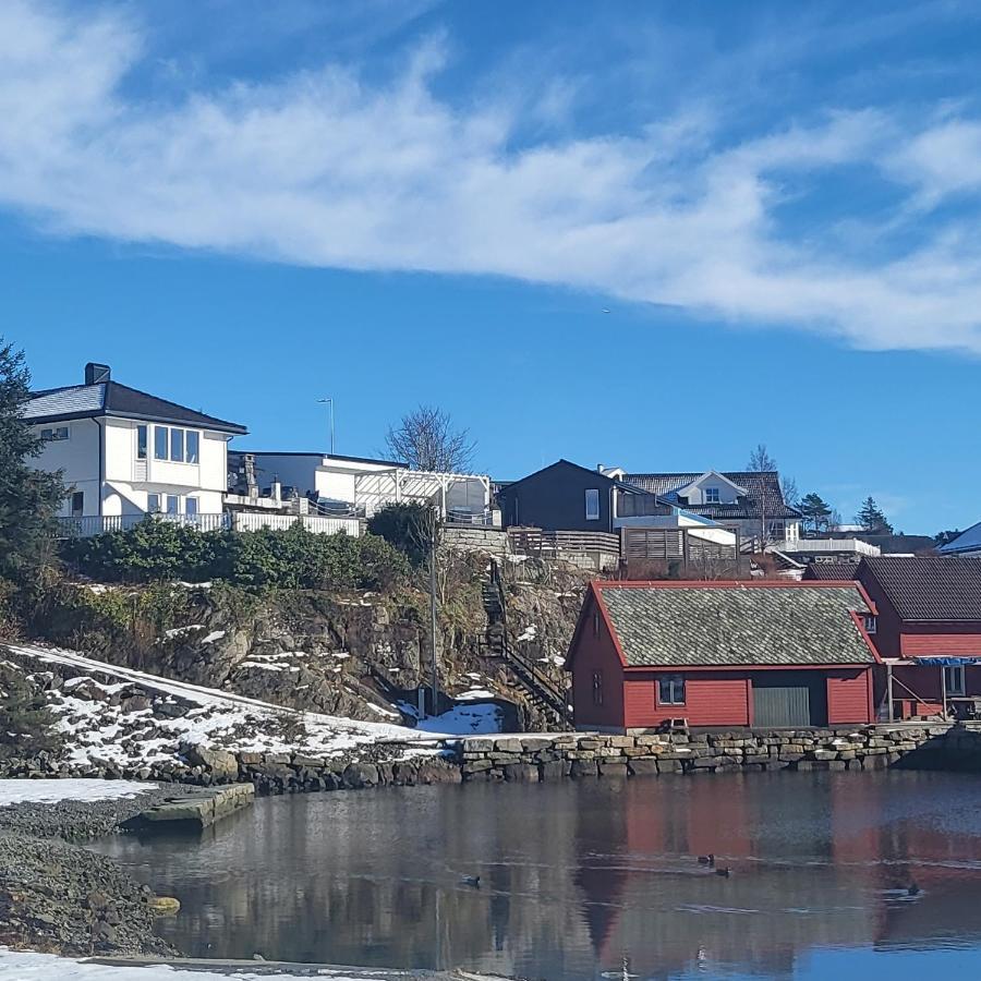 Cute Apartment By The Ocean Foldnes エクステリア 写真